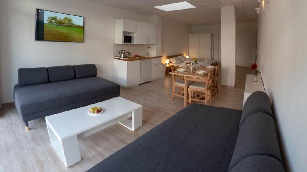 Eleonoras Ferienwohnung In Wuerzburg Stadt Mit Terrasse Im Erdgeschoss Inklusive Eigenen Parkplaetzen Vor Der Tuer Esterno foto